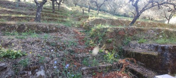 Casa de 4 habitaciónes en Carrara, Italy No. 265152 10