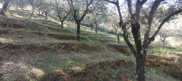 Casa de 4 habitaciónes en Carrara, Italy No. 265152 9