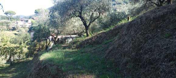Casa de 4 habitaciónes en Carrara, Italy No. 265152 11