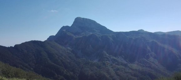 6 rooms House in Luni, Italy No. 36987 47