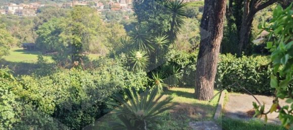 6-salle Villa à Marino, Italy No. 29371 2