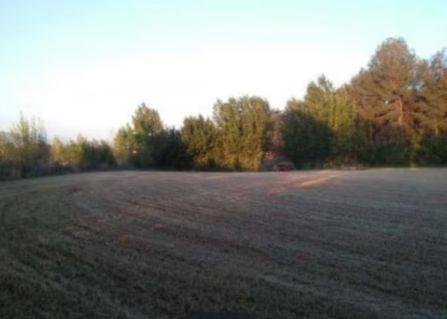 Grundstück in Lachar, Spain 18000m², Nr. 187274