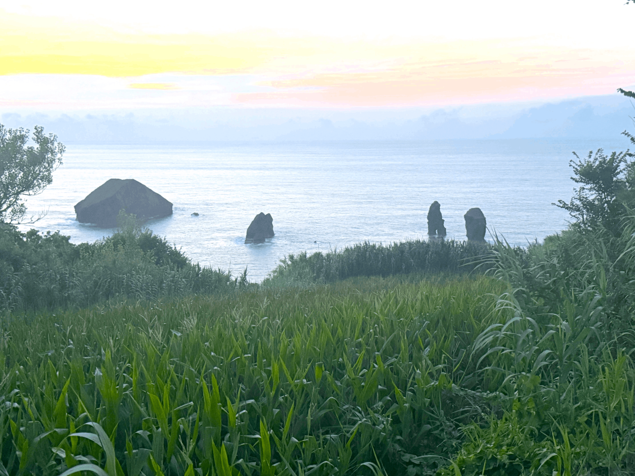 8660m² Land in Ponta Delgada, Portugal No. 297070