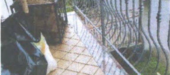 5 chambres Appartement à Serra San Bruno, Italy No. 332378 8