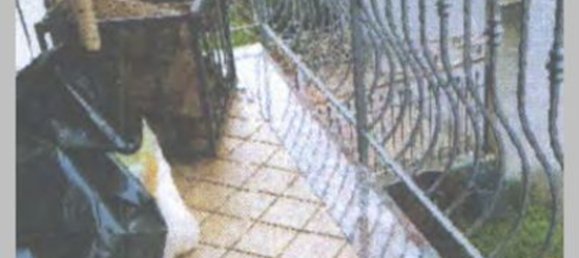 5 chambres Appartement à Serra San Bruno, Italy No. 332378 18