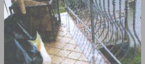 5 chambres Appartement à Serra San Bruno, Italy No. 332378 28