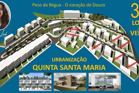  Land in Peso da Regua, Portugal No. 269429