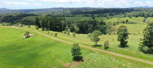 4 chambres Maison à Millaa Millaa, Australia No. 904 10