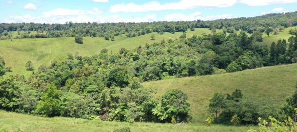 4 chambres Maison à Millaa Millaa, Australia No. 904 4