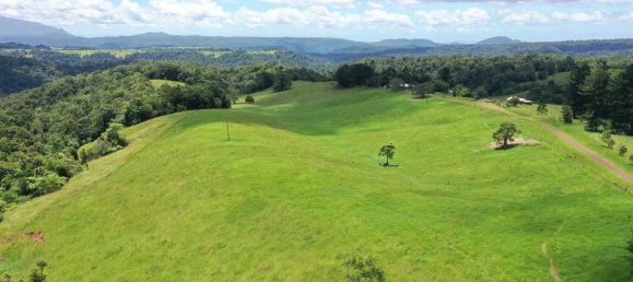 4 chambres Maison à Millaa Millaa, Australia No. 904 11