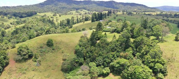 4 chambres Maison à Millaa Millaa, Australia No. 904 16