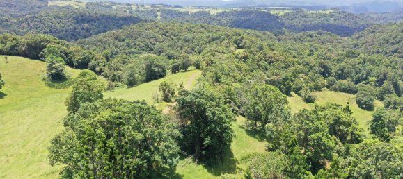 4 chambres Maison à Millaa Millaa, Australia No. 904 5