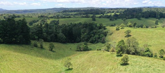 4 chambres Maison à Millaa Millaa, Australia No. 904 13