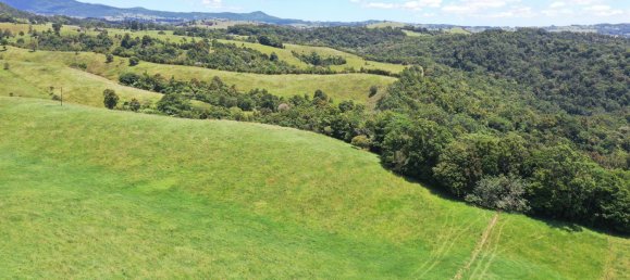 4 chambres Maison à Millaa Millaa, Australia No. 904 6