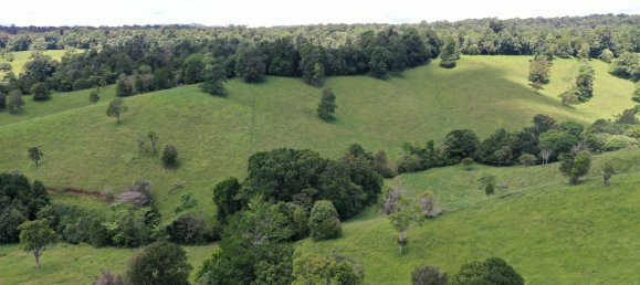 4 chambres Maison à Millaa Millaa, Australia No. 904 12