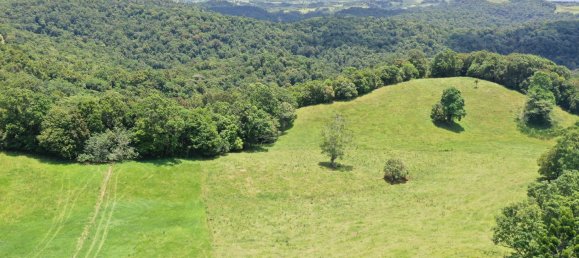 4 chambres Maison à Millaa Millaa, Australia No. 904 7