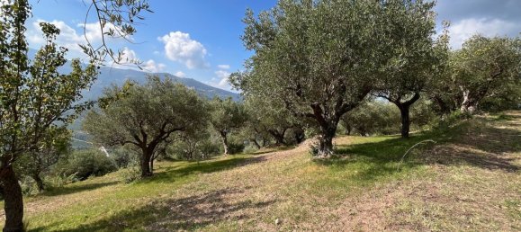 25000m² Land in Naso, Italy No. 277416 6