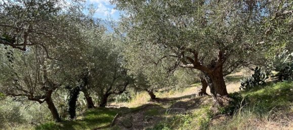 25000m² Land in Naso, Italy No. 277416 8