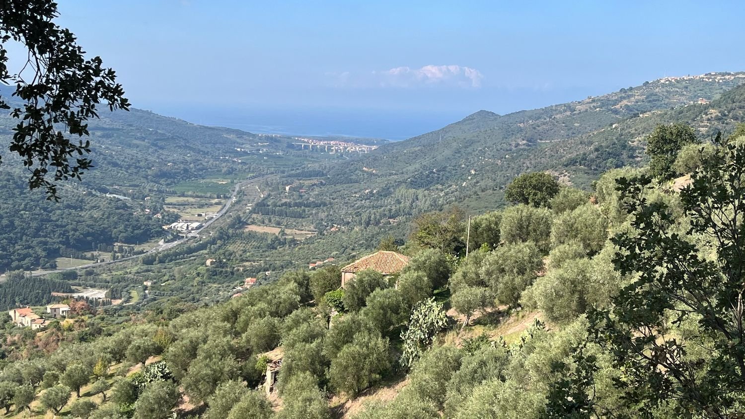 25000m² Land in Naso, Italy No. 277416