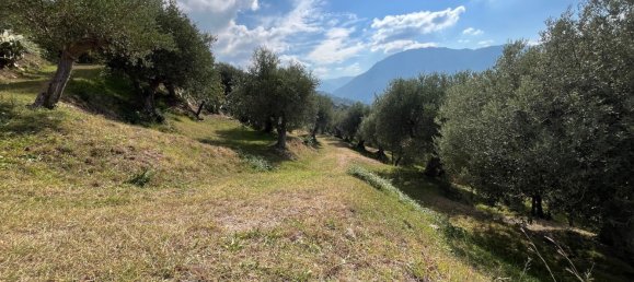 25000m² Land in Naso, Italy No. 277416 9