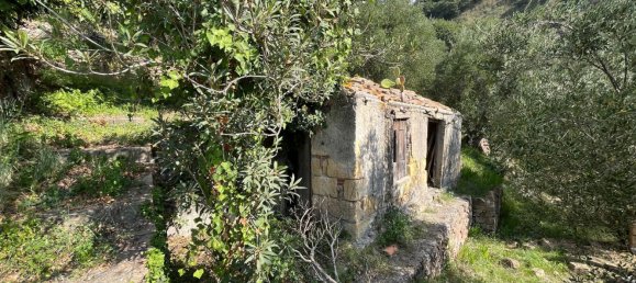 25000m² Land in Naso, Italy No. 277416 4