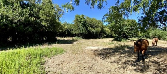 5 bedrooms Villa in Tarascon, France No. 349547 5