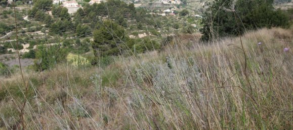  قطعة أرض في Benissa, Spain 15متر مربع رقم 4098 27