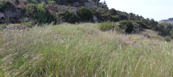  قطعة أرض في Benissa, Spain 15متر مربع رقم 4098 20