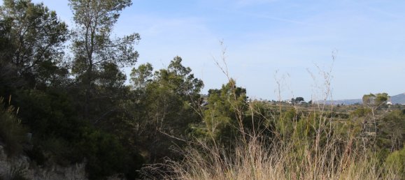  قطعة أرض في Benissa, Spain 15متر مربع رقم 4098 19