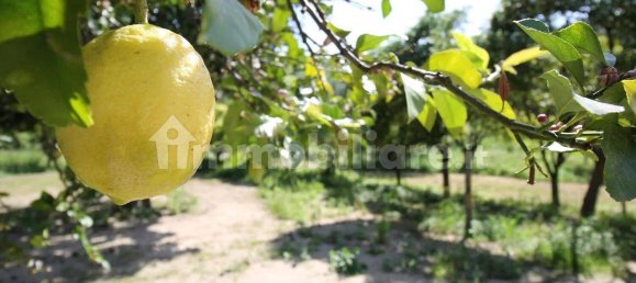 Garage à Pietra Ligure, Italy 10m² No. 272737 9