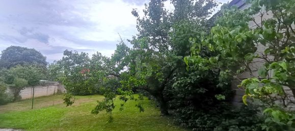 3 rooms House in Eisenstadt Umgebung, Austria No. 255126 5