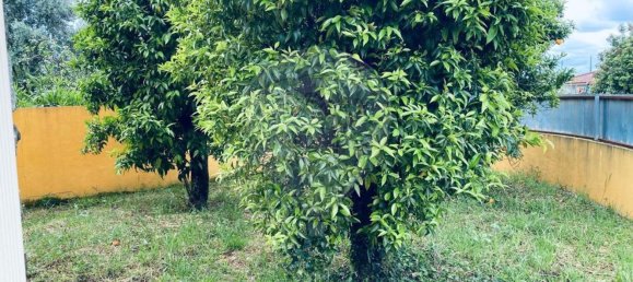 4 Schlafzimmer Haus in Condeixa a Nova, Portugal, Nr. 176231 20