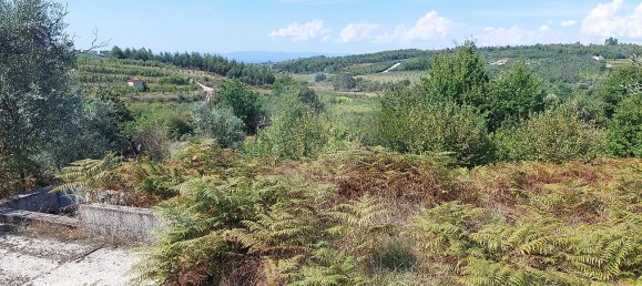 1 غرف نوم منزل في Oliveira do Hospital, Portugal رقم 34228 17