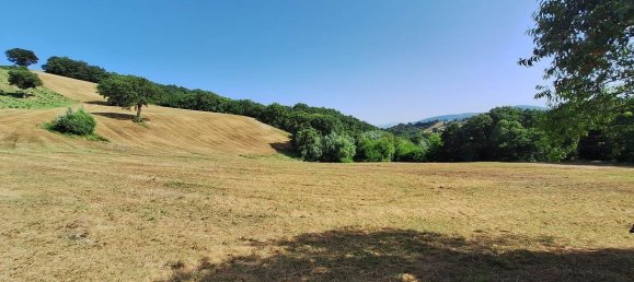 Terrain à San Severino Marche, Italy 115000m² No. 298011 4