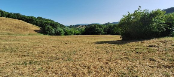 Terrain à San Severino Marche, Italy 115000m² No. 298011 3