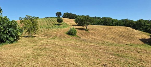 Terrain à San Severino Marche, Italy 115000m² No. 298011 5