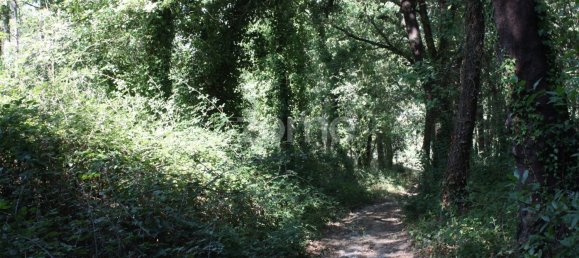 5800m² Land in Vila Nova de Famalicao, Portugal No. 34354 10