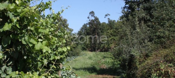 5800m² Land in Vila Nova de Famalicao, Portugal No. 34354 5