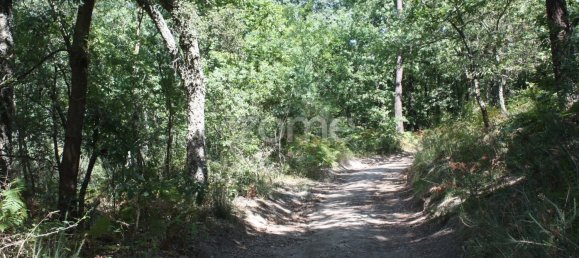 5800m² Land in Vila Nova de Famalicao, Portugal No. 34354 12