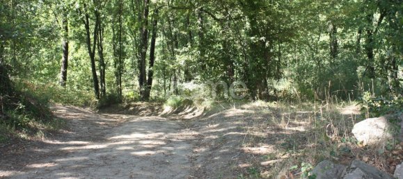 5800m² Land in Vila Nova de Famalicao, Portugal No. 34354 9