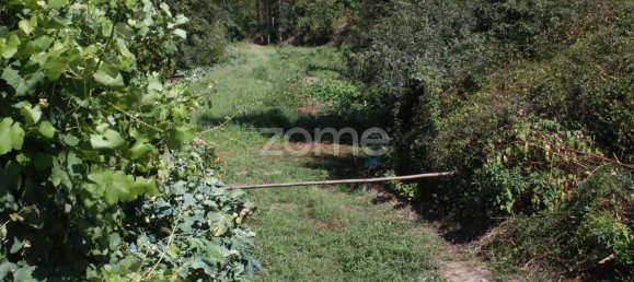 5800m² Land in Vila Nova de Famalicao, Portugal No. 34354 7