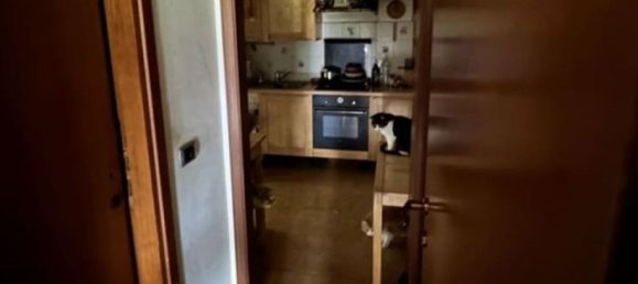 3 rooms Apartment in Cesano Maderno, Italy No. 6702 14