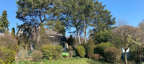 Дом с 5 спальнями в Майнц-Бинген, Германия № 218742 3