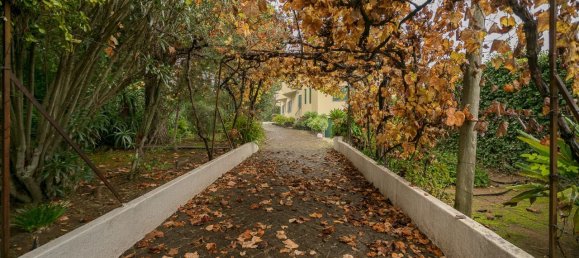 6 bedrooms House in Cascais, Portugal No. 43083 25