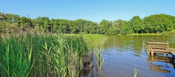 1 chambre Maison à Mecklenburgische Seenplatte, Germany No. 290602 15