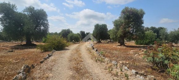 Casa de 2 dormitorios en Ceglie Messapica, Italy No. 315525 29