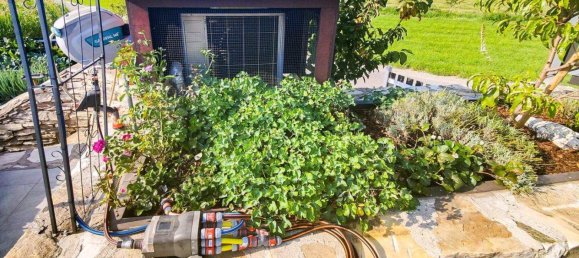 Propiedad comercial de 7 habitaciónes en Feldkirchen in Karnten, Austria No. 231050 45