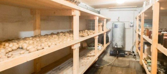 Propiedad comercial de 7 habitaciónes en Feldkirchen in Karnten, Austria No. 231050 28