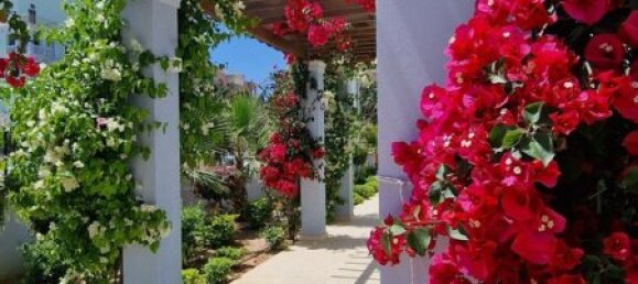 3 bedrooms Apartment in Limassol, Cyprus No. 12387 15