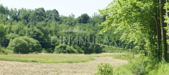 15-Zimmer Haus in Prato, Italy, Nr. 233173 95